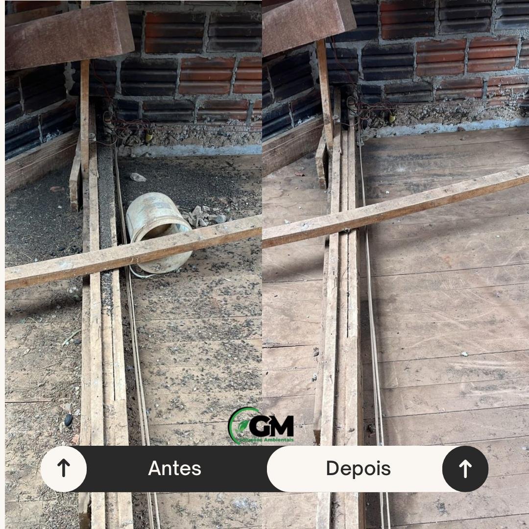 120363407938153519@g.us-1742222334-850 (1)